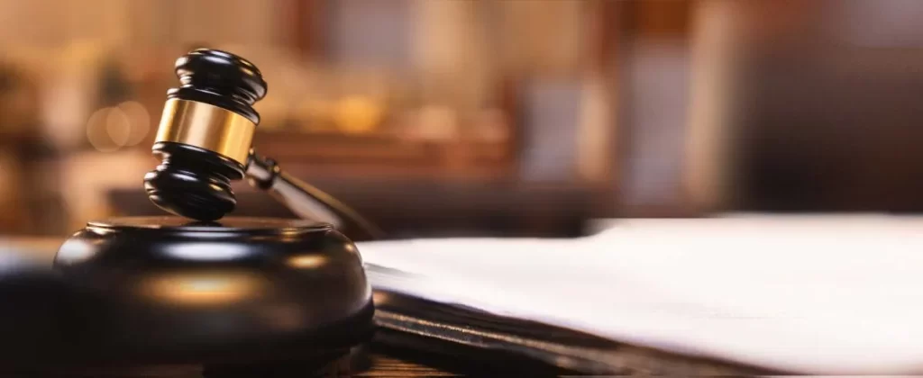 "Breaking the Silence: Legal Remedies & Support for Domestic Violence Survivors"