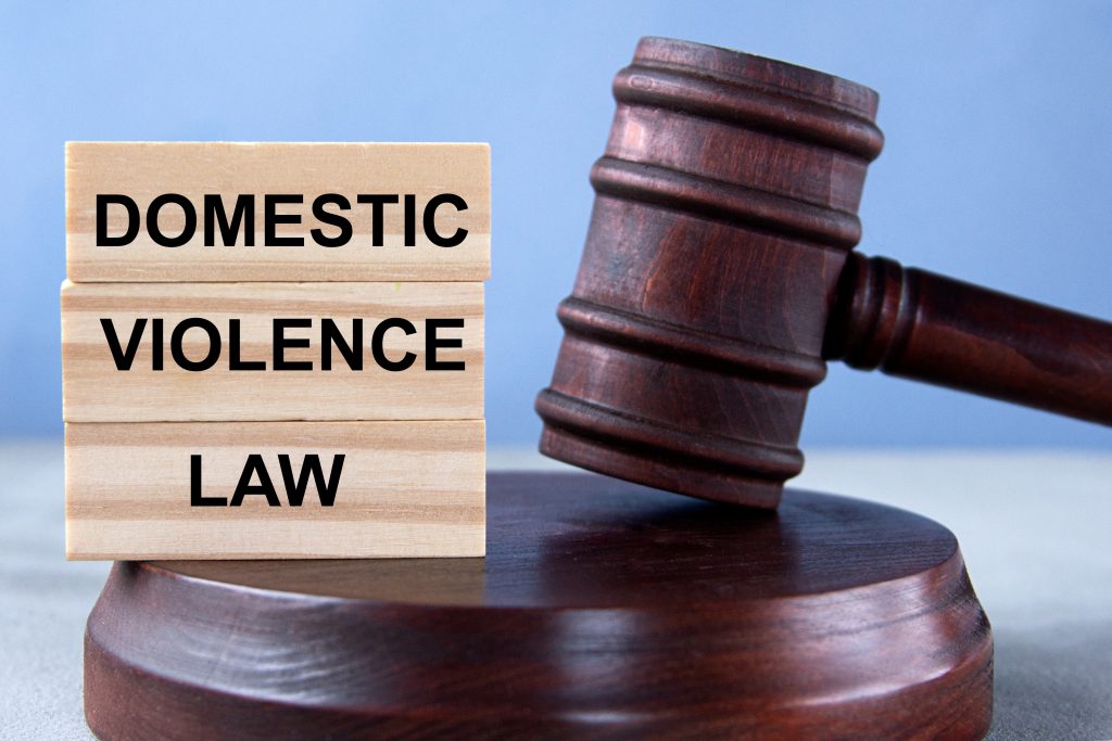 "Shadows at Home: Exposing the Hidden Crisis of Domestic Violence"