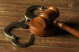 Legal Expert for Bail Rejection Appeal at the High Court in India