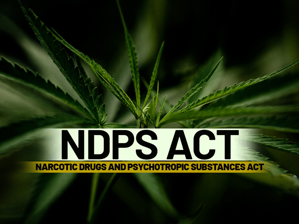 NDPS Uncovered: Rights, Regulations & Legal Remedies